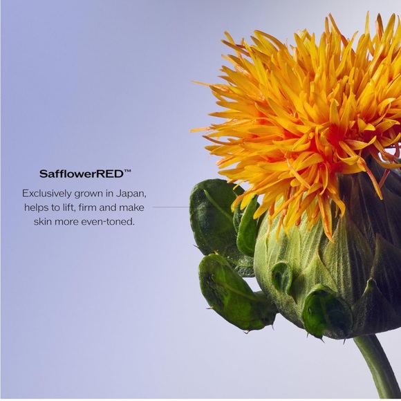 Shiseido Vital Perfection Brand New in Box!! - Picture 5 of 16